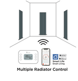 Carisa Multiple Radiator Control