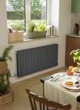 Terma Forte V20 (Double Panel) Designer Radiator