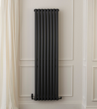 Burg Designer Radiator